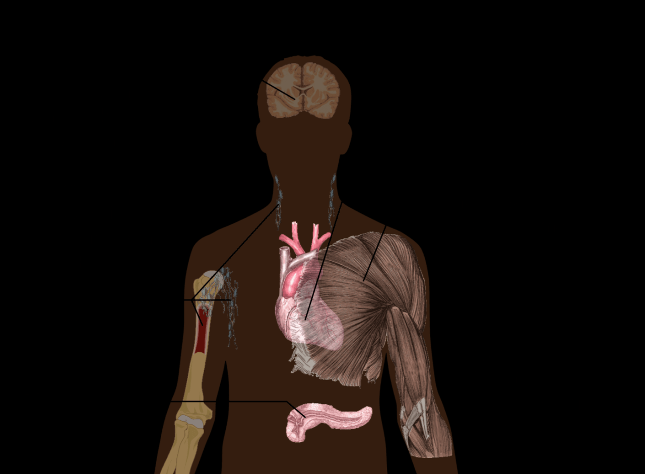 The Effects of Sleep Deprivation on Your Body What Are The Long Term Effects Of Sleep Deprivation