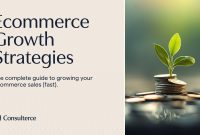 How To Increase Sales On My E-Commerce Website How To Increase Sales On My E-Commerce Website
