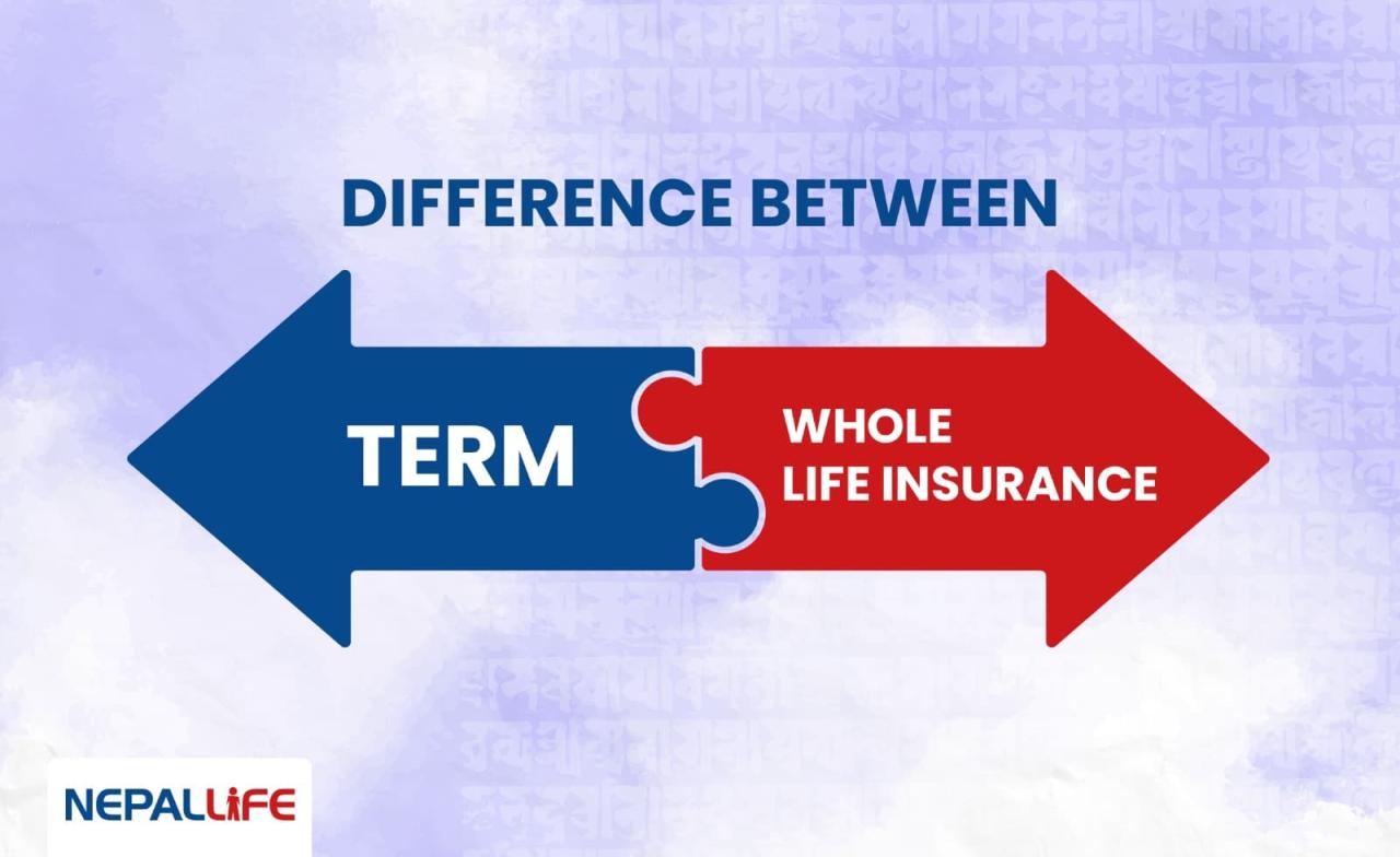 What Is The Difference Between Term And Whole Life Insurance